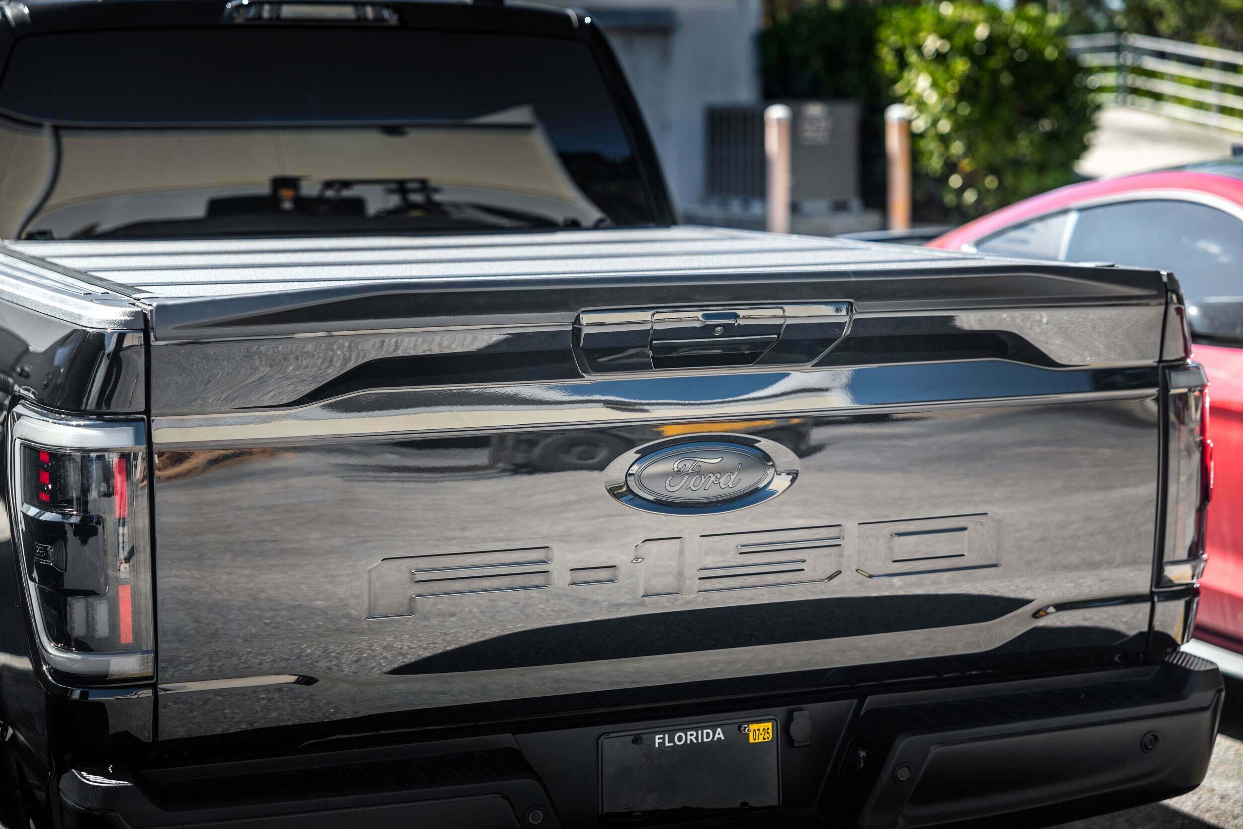 Painted Tailgate Handle Assembly (2021+ F-150)