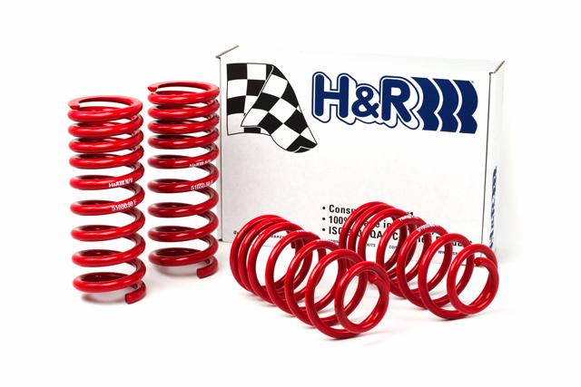 H&R Race Springs - Coupe (79-04 GT, V6, Mach 1; 93-98 Cobra) - 51650-88