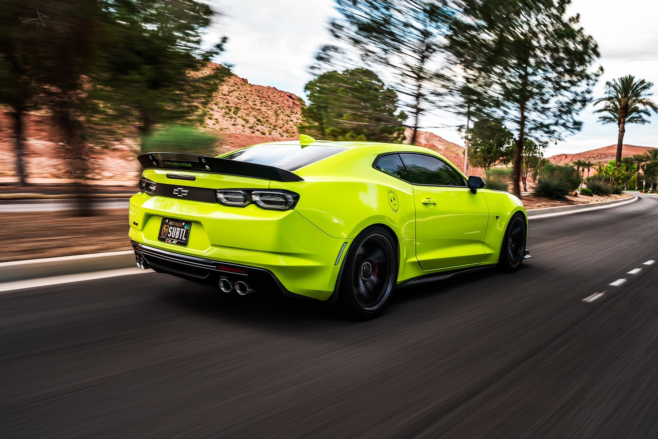 wickerbill_camaro1.jpg
