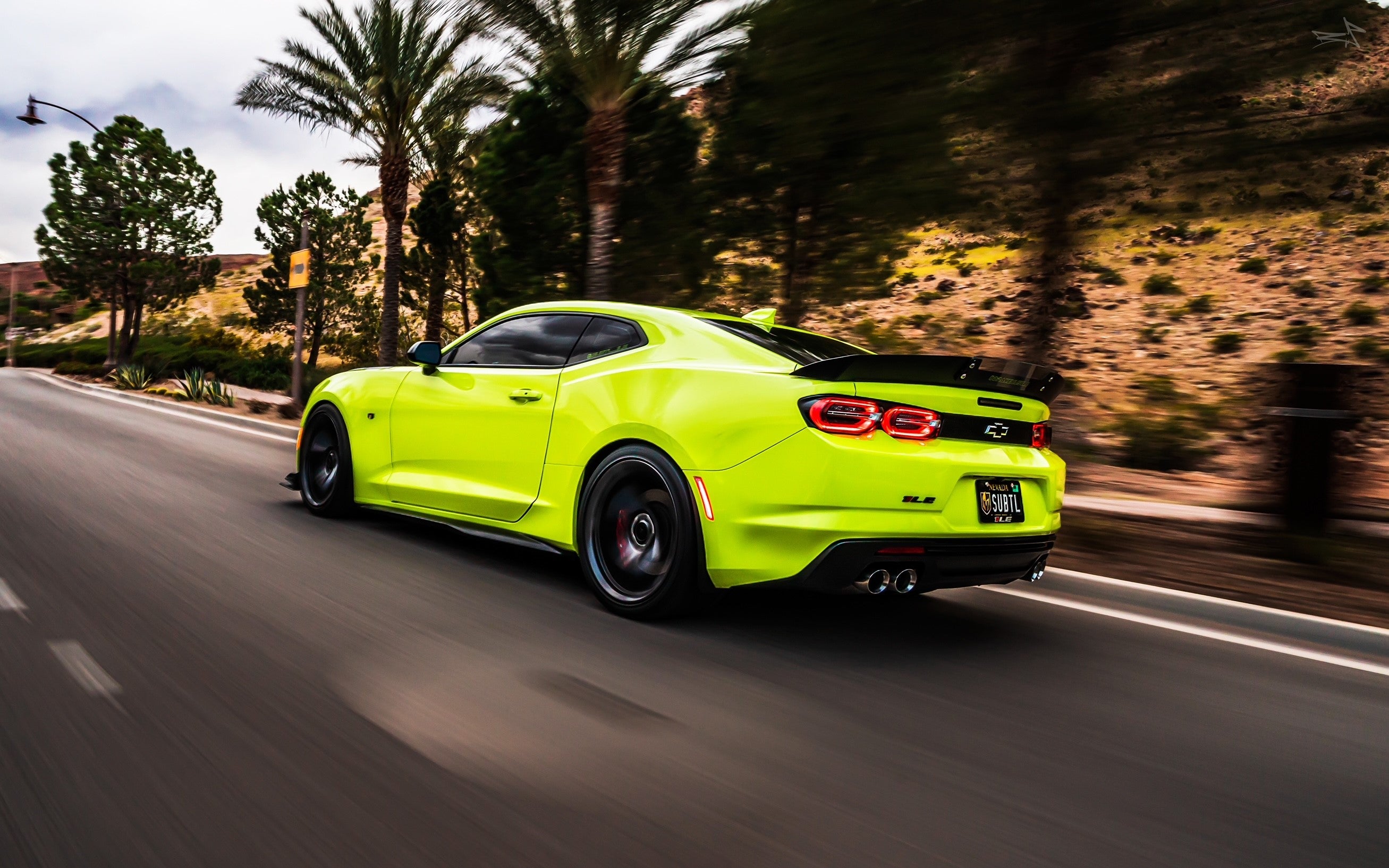 wickerbill_camaro2.jpg