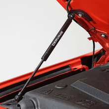 Cervinis 2015-2023 Mustang Hood Struts