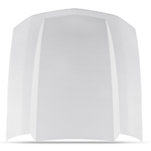 Cervinis 1172 2005-2009 Mustang 4" Cowl Hood