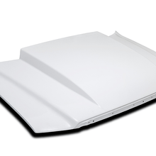 Cervinis 1227 04-08 F150 Cowl Hood