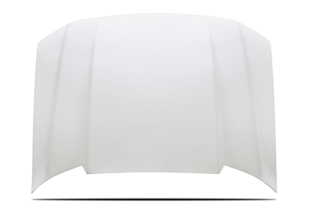 Cervinis 1227 04-08 F150 Cowl Hood