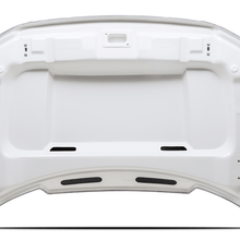 Cervinis 1227 04-08 F150 Cowl Hood