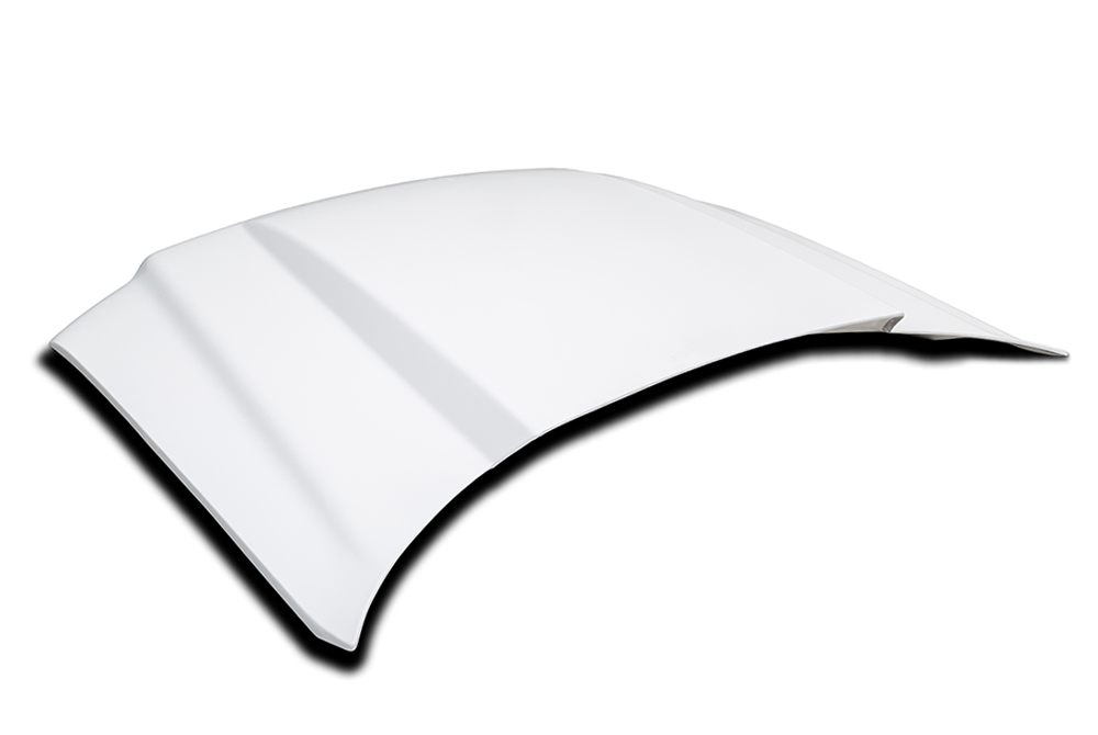 Cervinis 1227 04-08 F150 Cowl Hood